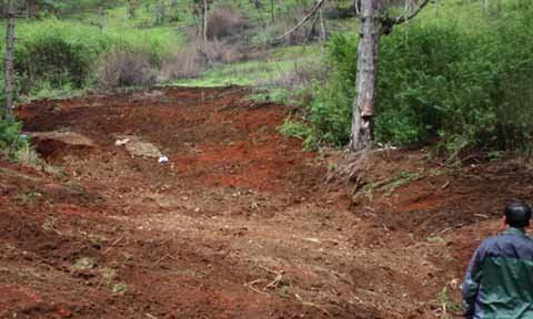 San lấp hầm đào thiếc trái phép tại Đà Lạt