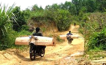 Đột kích “cung đường lâm tặc” Văn Bàn