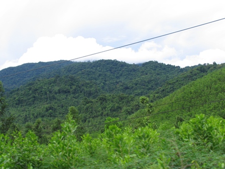 Thông qua Chương trình hành động REDD+ giai đoạn 2011 – 2020