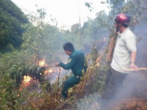 Lực lượng chức năng đang dập đám cháy rừng ở Hồ Chùa (Ảnh: VietnamPlus
