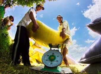 Quy hoạch tổng thể phát triển KT-XH ĐBSCL đến năm 2020