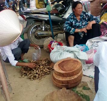 Gỗ nghiến ra chợ