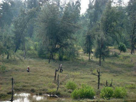 Lực lượng bảo vệ rừng ở Việt Nam còn rất mỏng, chưa đảm bảo công tác bảo vệ rừng bền vững. (Ảnh: ThienNhien.Net)