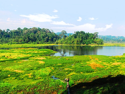 Cát Tiên có diện tích gần 72.000 ha trải dài qua ba tỉnh: Lâm Đồng, Bình Phước và Đồng Nai. Đây là khu rừng nhiệt đới ẩm duy nhất còn sót lại tại miền Nam Việt Nam,  đóng vai trò quan trọng trong việc điều tiết khí hậu cho Tây Nguyên và Nam Bộ.
