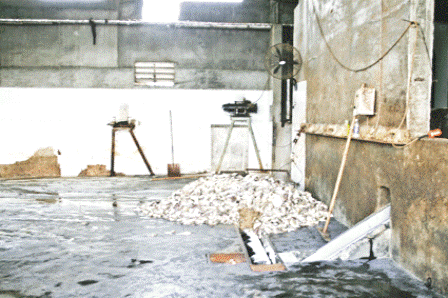 Việc chế biến bột cá đã bị cấm ở nhiều nơi vì mức độ ô nhiễm cao, nhưng tại BR-VT hiện có có hàng chục nhà máy đang tồn tại.