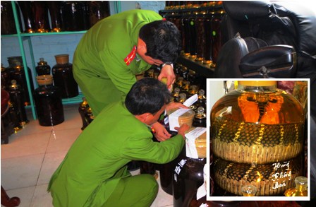 Nhiều bình rượu ngâm động vật được cơ quan công an phát hiện tại cửa hàng buôn bán đá quý Thúy Gấu