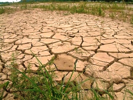 Suốt hơn 3 năm qua, người dân sống dọc theo vùng hạ lưu sông Vu Gia - Thu Bồn đối mặt với hạn hán đến khô héo vào mùa khô - (Ảnh: VietNamNet)