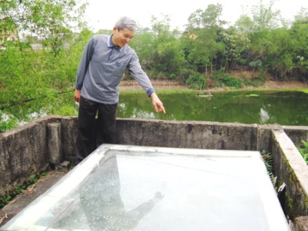 Bể nước nóng sử dụng năng lượng mặt trời của gia đình ông Tuấn.