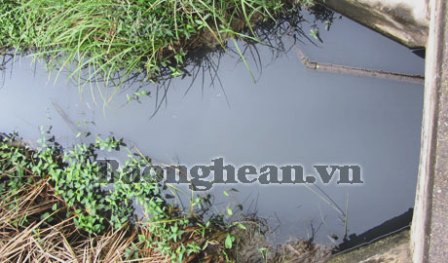 Cống dẫn nước thải bẩn từ công ty cổ phần Minh Thái Sơn, công ty TNHH Hải An vào đồng ruộng.