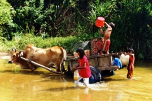 Chương trình nước sạch và vệ sinh nông thôn tại 8 tỉnh đồng bằng sông Hồng 