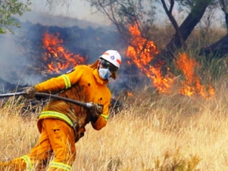 Các đám cháy rừng đang lan rộng tại bang Tasmania. (Ảnh: Guardian)