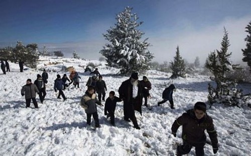 Tuyết rơi cũng khiến nhiều người cảm thấy thích thú, đặc biệt là trẻ em. Trong ảnh là cảnh mọi người đi chơi tuyết tại Nabi Samuel, phía bắc Jerusalem