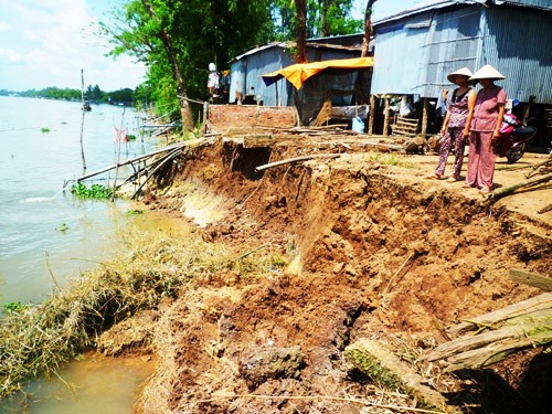 Bờ sông Tiền qua huyện Phú Tân - An Giang sạt lở nghiêm trọng do thay đổi dòng chảy (Ảnh: Thốt Nốt/Người lao động)