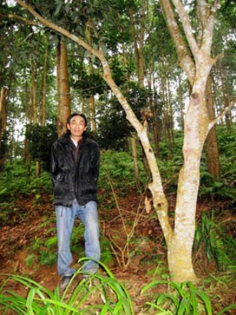 Ông Đỗ Hồng Ngọc đứng giữa rừng keo “chơ” khai thác