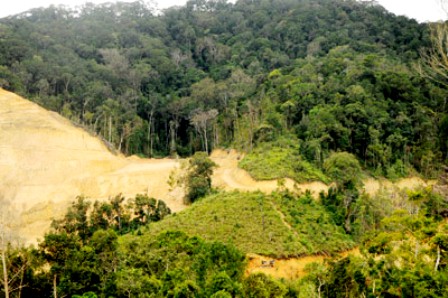Nhiều cánh rừng phòng hộ ở tỉnh Kon Tum sẽ bị chuyển đổi để làm thủy điện Thượng Kon Tum