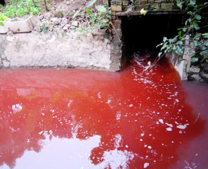 Công ty Sơn Nam xả nước thải chứa hóa chất tẩy nhuộm ra môi trường (Ảnh: Đại Đoàn Kết)