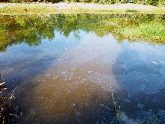 Nước nhiễm bẩn ở đoạn cống AH14 trên địa phận huyện Củ Chi, TP. HCM 