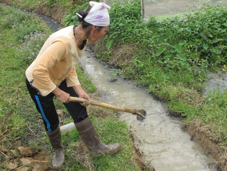 Chất thải, nước thải đều chảy ra ruộng, suối.