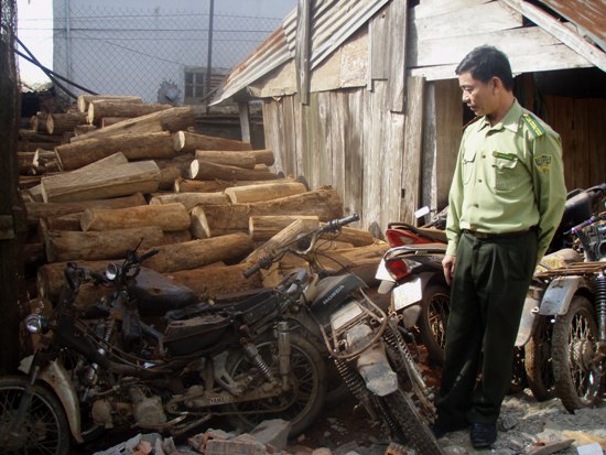 Hạt Kiểm lâm huyện Krông Năng bắt được nhiều vụ vận chuyển “gỗ đổi màu” qua địa phận của Ban quản lý rừng phòng hộ đầu nguồn Krông Năng