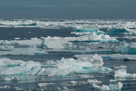 Lượng băng Bắc cực giảm hơn 1/3 trong vòng chưa đầy 10 năm (Ảnh: Kike Calvo/AP)