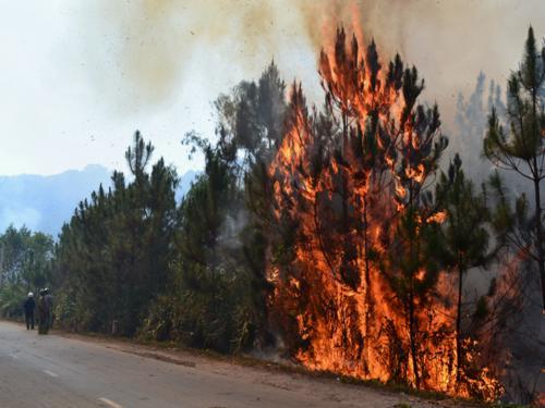 190213_TN_rungthong3