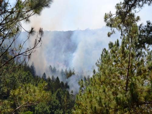 190213_TN_rungthong4