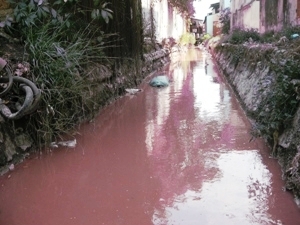 Nước thải đỏ ngầu không qua xử lý, được xả thẳng ra các kênh mương ở làng nghề giấy Phong Khê (Ảnh: Hùng Võ/VietnamPlus)