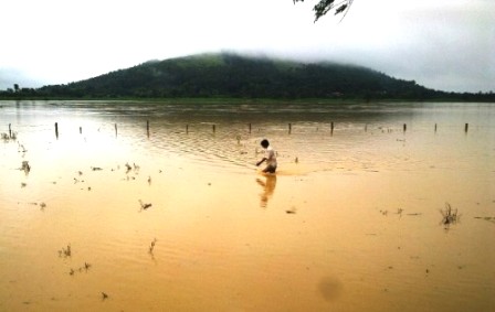 Ảnh minh hoạ: vov.vn