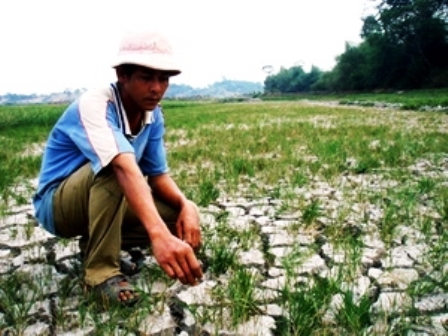 Đồng ruộng nứt nẻ vì hạn hán ở khu vực Tây Nguyên (Ảnh: Tiền Phong)