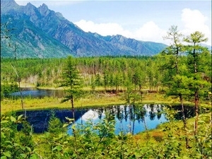 Khu bảo tồn thiên nhiên Amur của Nga (Ảnh: russiatrek.org/VietnamPlus)