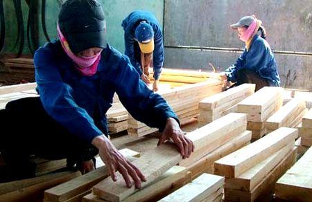 Công nhân tại một cơ sở chế biến gỗ (Ảnh: Báo Hà Tĩnh)