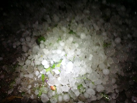 Đá rơi trong trận mưa lúc 19h5 tốii 30/3 tại Hà Giang (Ảnh: VnExpress)