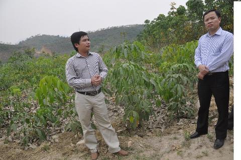 Hơn 5 năm trôi qua, cơ chế góp đất trồng cao su ở Sơn La vẫn đang “dậm chân tại chỗ” 