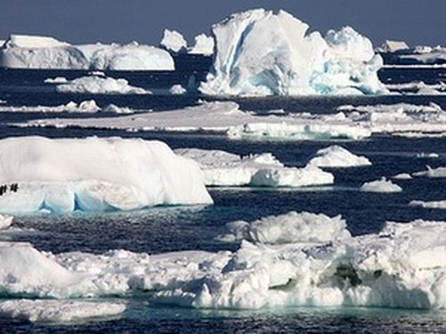 Diện tích băng ở Nam cực tăng lên, trái ngược với Bắc Cực (Ảnh: BBC)