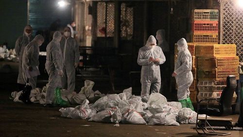 Dịch cúm H7N9 đang khiến nhiều người lo lắng (Ảnh: Reuters)