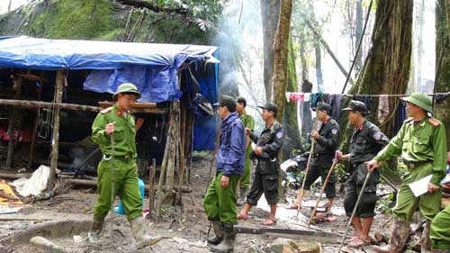 Lực lượng chức năng Quảng Nam tiêu hủy lán trại và các vật dụng của “vàng tặc” tại miền núi Phước Sơn 