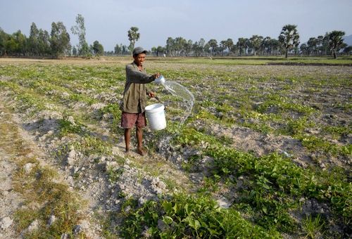 Khô hạn ở huyện Tịnh Biên, An Giang (Ảnh: Lê Hoàng Vũ/Tia Sáng)