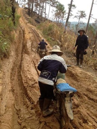 Hành trình hàng chục km đường rừng lầy lội, dốc dựng đứng tìm vào sào huyệt của lâm tặc đang khai thác gỗ