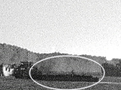 220413_CMT_naovetsong3