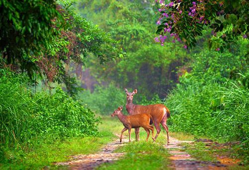 Triển lãm ảnh “Giữa thiên nhiên”