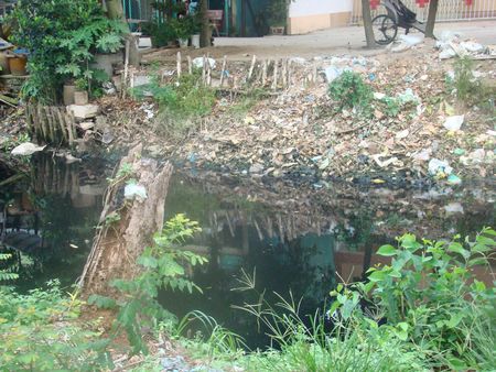 Ảnh: ThienNhien.Net