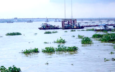Sông Đồng Nai, đoạn chảy qua thành phố Biên Hòa