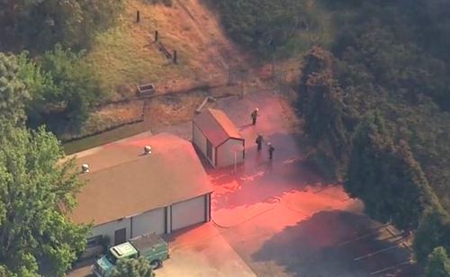 Ảnh: wildfiretoday.com