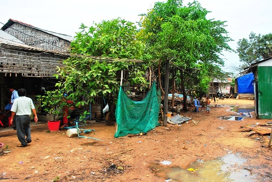 Xóm Sacacrus cách thành phố Xiêm Riệp chừng 4 km (Ảnh: Nguyễn Công Minh) 