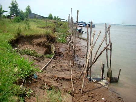 Ảnh minh họa: ThienNhien.Net