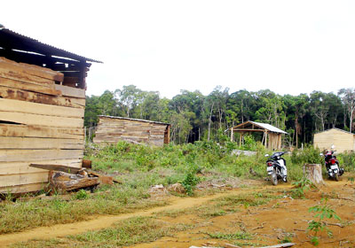 Những ngôi nhà tạm bợ của người dân mọc lên như nấm sau khi có công bố quy hoạch huyện mới (Ảnh: Lê Uyên/Sài Gòn Giải phóng)