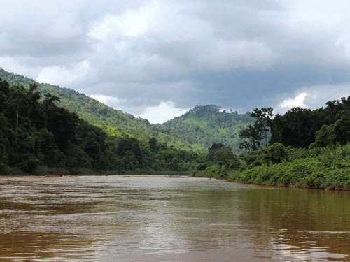 Một góc Vườn quốc gia Cát Tiên (Ảnh: Kim Cương/Thanh Niên)