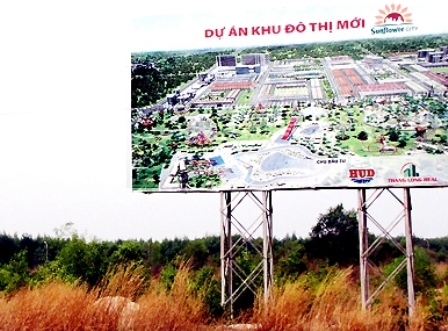 Dự án Khu dân cư xã Vĩnh Thanh (huyện Nhơn Trạch) quy hoạch nhiều năm cỏ mọc lút đầu (Ảnh: H.Giang)