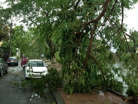 Lốc làm cây xanh gẫy đổ tại Huế (Ảnh: Quốc Việt/VietnamPlus)