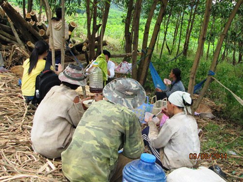 Không có việc làm ổn định, người dân tái định cư thủy điện Bình Điền, tỉnh Thừa Thiên - Huế phải đi bóc vỏ tràm thuê (Ảnh do Mạng lưới Sông ngòi Việt Nam cung cấp)